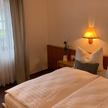 ゲストハウス Freigeist • & Brasserie Witzin